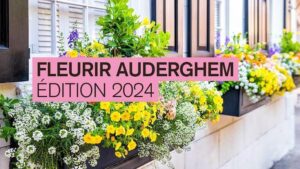 Concours « Fleurir Auderghem » en 2024