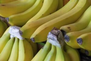 unripe-bananas