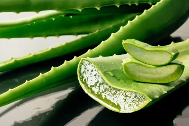 7 choses que vous pouvez faire avec une plante d’Aloe Vera