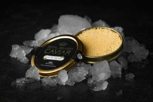 162434288 1164180430686374 8752387122343346096 o