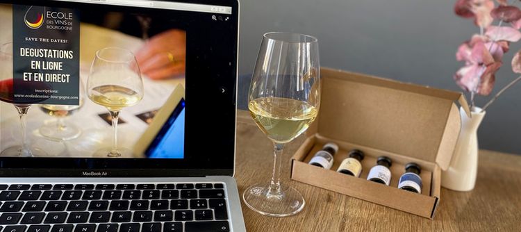 L’Ecole des vins de Bourgogne vous propose des cours en ligne et en direct !