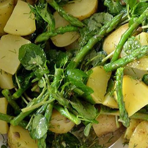 Recette : Salade du jardin, asperges vertes au cresson