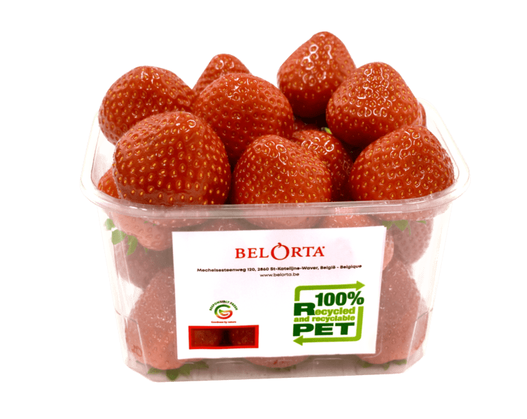 Un emballage encore plus durable pour les fraises belges