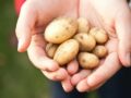 5 choses que vous pouvez nettoyer avec des pommes de terre