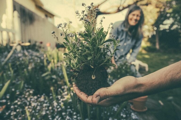 Le jardinage est bon pour votre santé mentale et mentale