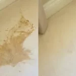 5-astuces-pour-éliminer-les-taches-de-vomi-du-tapis-fb-700x394-1