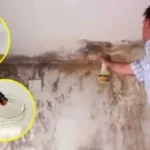 10-astuces-pour-enlever-et-éviter-les-taches-de-moisissure-sur-les-murs-700×394-1