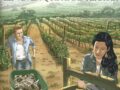 Vinifera – Biodynamie, le vin en quête de terroir