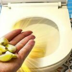 Pourquoi-jeter-lail-dans-les-toilettes-avant-de-se-coucher-700×394