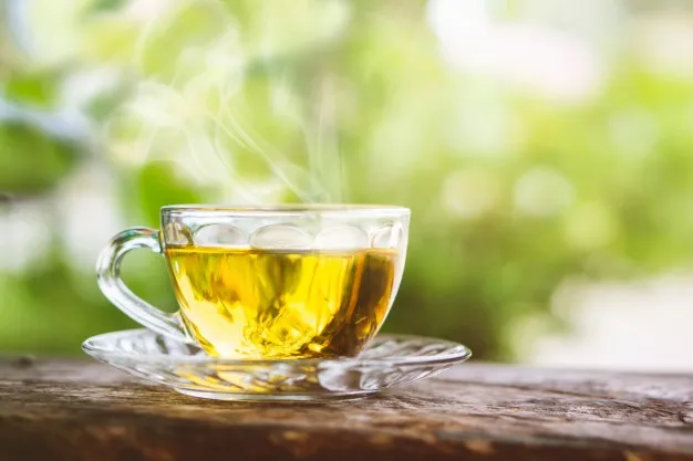 Trois raisons pour lesquelles le thé vert est un excellent complément pour perdre du poids