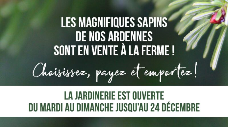 1 ouverture_sapins_21-aa1930f3