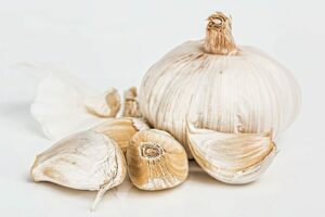 garlic g12267c897 640