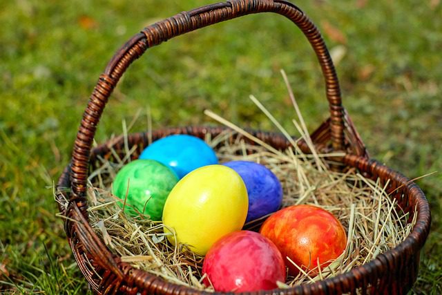 En cette période de Pâques, l’AFSCA répond à 5 questions sur les œufs
