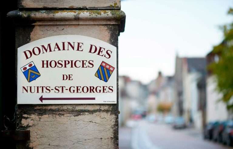 Aux Hospices de #Nuits-Saint-Georges en #Bourgogne, la récolte 2023 s’annonce grandiose