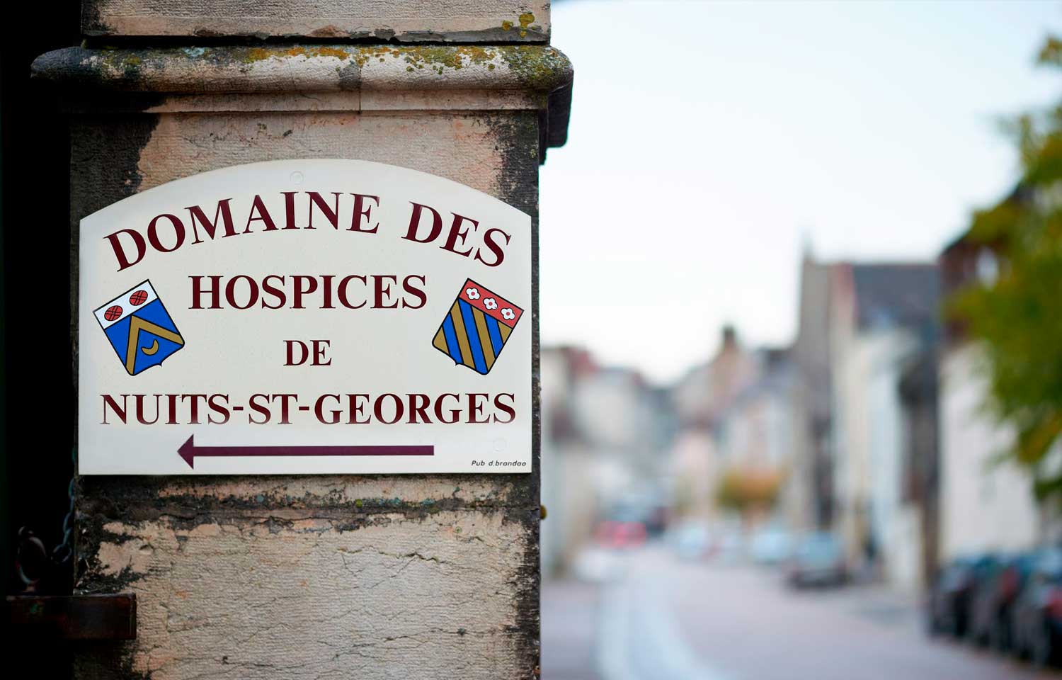 Aux Hospices de #Nuits-Saint-Georges en #Bourgogne, la #récolte 2023 s’annonce grandiose