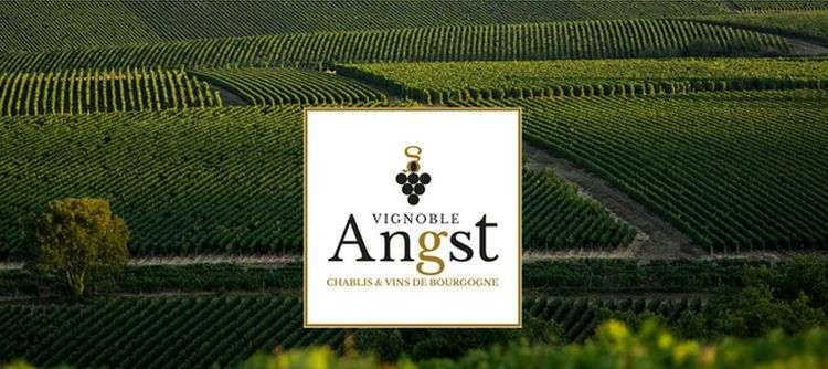 Fêtons les 10 ans du #domaine #viticole de Céline et Antoine Angst en #Bourgogne