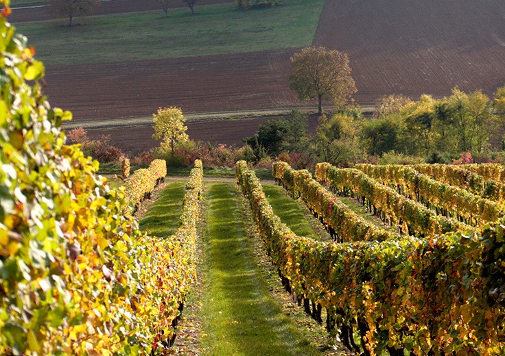 150e anniversaire de la Fête des Grands Vins de Bourgogne