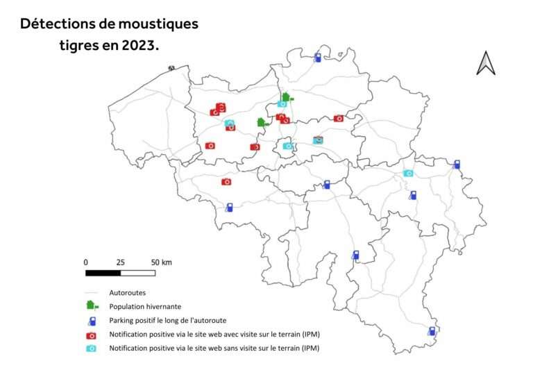 Sciensano alerte sur la propagation du moustique tigre en Belgique