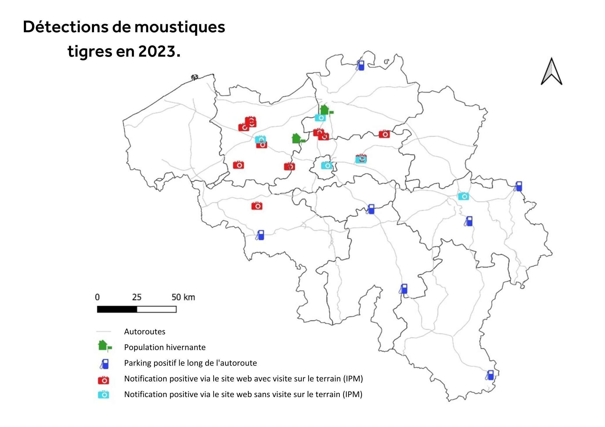 Sciensano alerte sur la propagation du moustique tigre en Belgique
