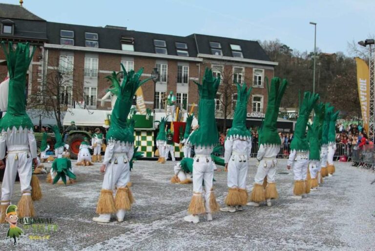 70e édition du carnaval de Tilff