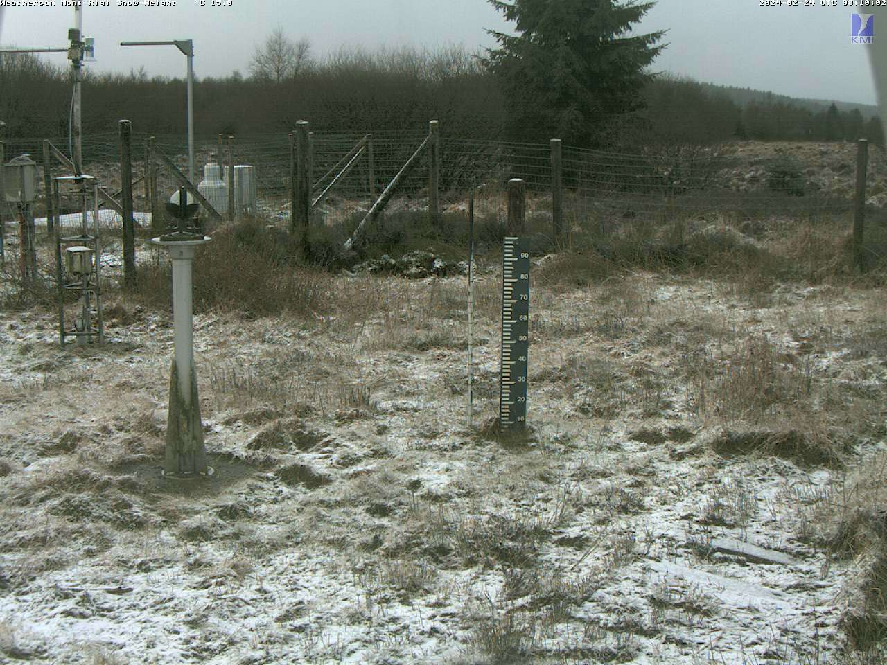 Très peu de neige en cet hiver 2024