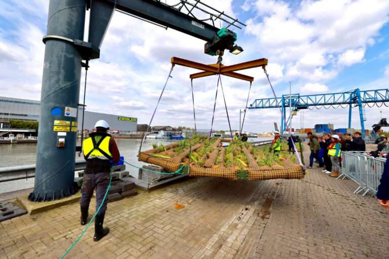 200 m² supplémentaires végétalisés dans le Port de Bruxelles