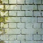 brick-wall-3194516_640