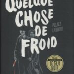 quelque chose froid glénat 06 03