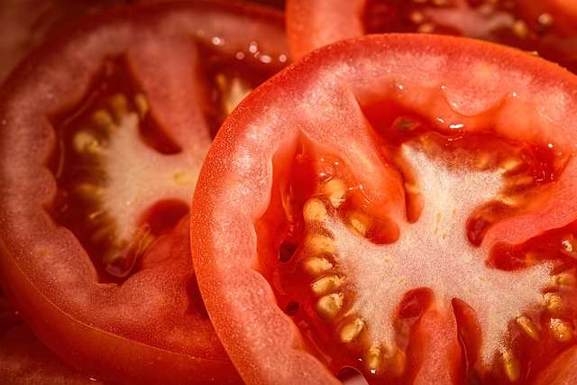 tomatoes-769999_640