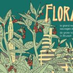 Grand recensement des plantes sauvages à Bruxelles