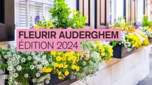 Concours « Fleurir Auderghem » en 2024