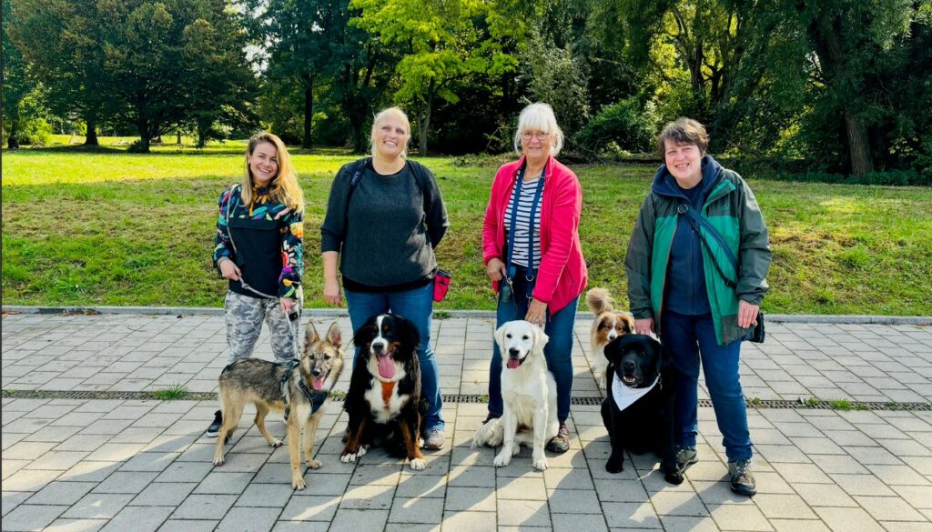 Promenades collectives pour chiens à Woluwe-Saint-Pierre