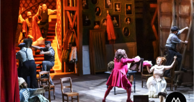 Expo les plus beaux costumes opéra liège à chaudfontaine