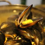 mussel-soup-678142_640