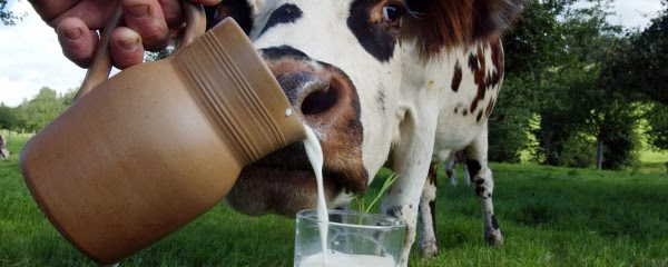 #Terres #empoisonnées et production de #lait au menu d’Investigation sur La Une la RTBF