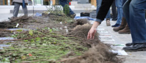 1 bourse aux plantes sauvages