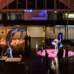 Gratin dauphinois crémeux :