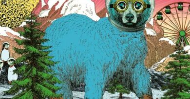 accès et mobilité auw plaisirs d'hiver 2024