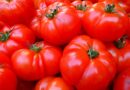 L’Astuce Pour Congeler les #Tomates Crues