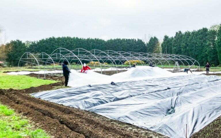 1 ferme agroecologique