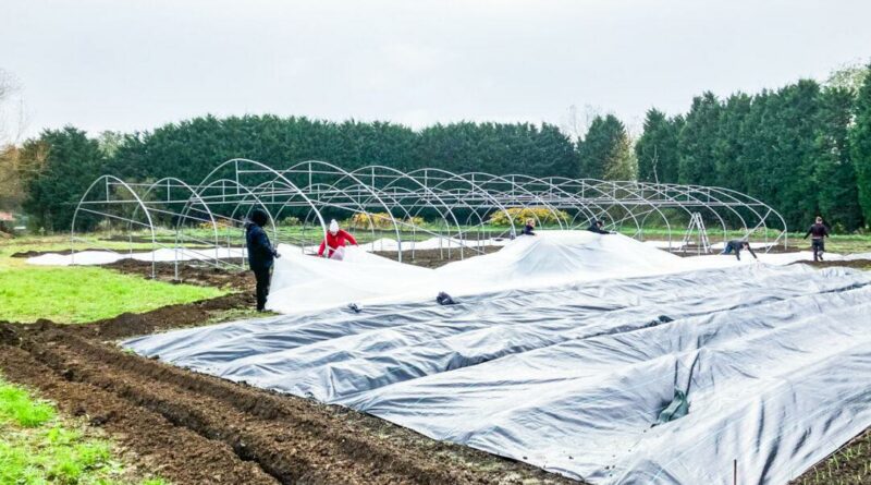 1 ferme agroecologique