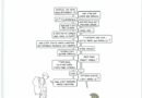 dialoguesprimodelcourt 30 10