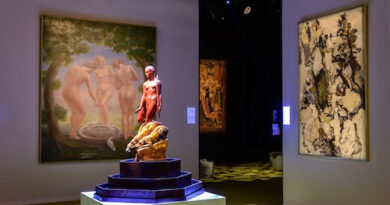 fondation roi baudouin brafa