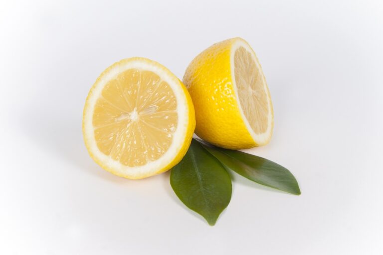 sliced-lemon-667554_1280