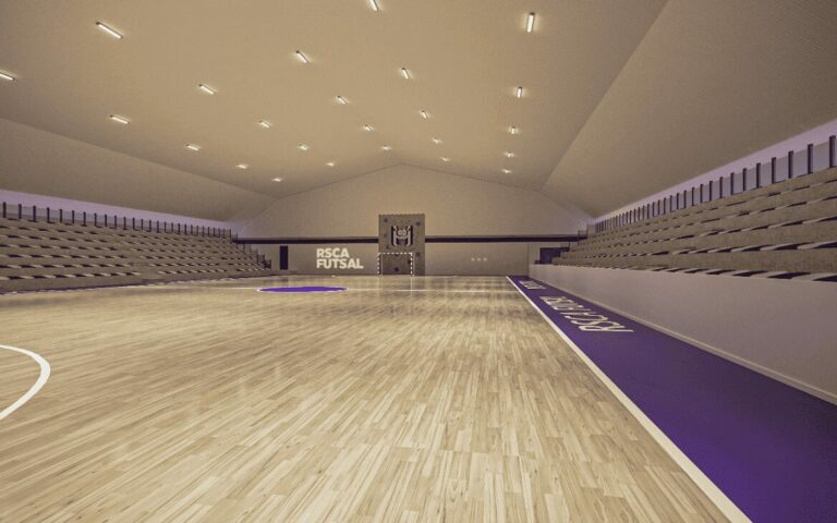 mérites sportifs anderlecht 2024