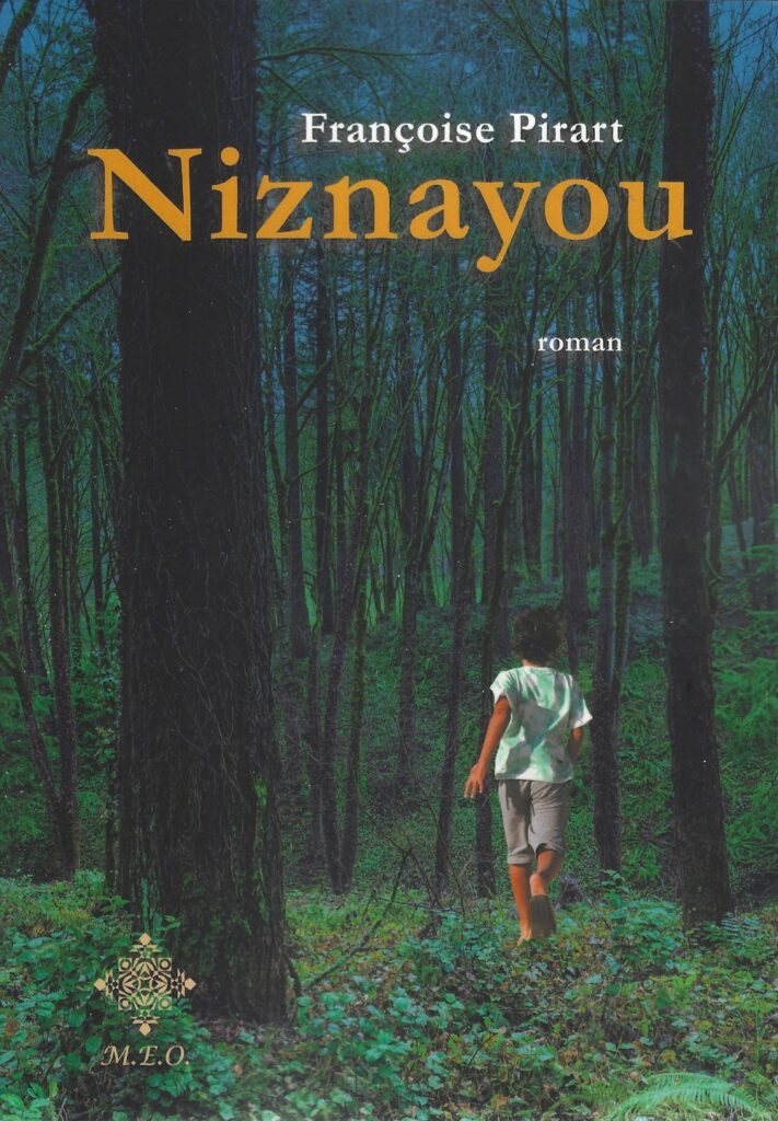 niznaiou meo 22 08