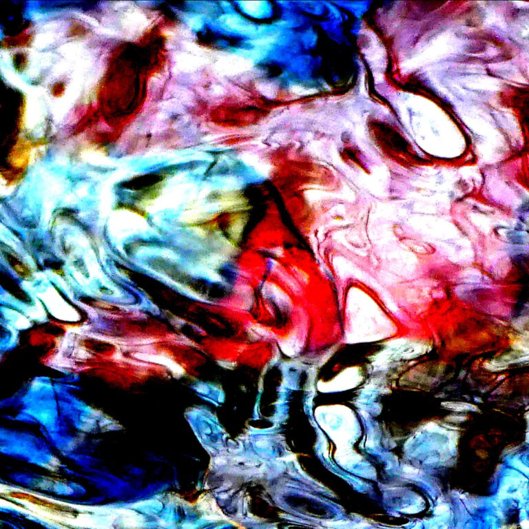 1 expo photos dominique peeters