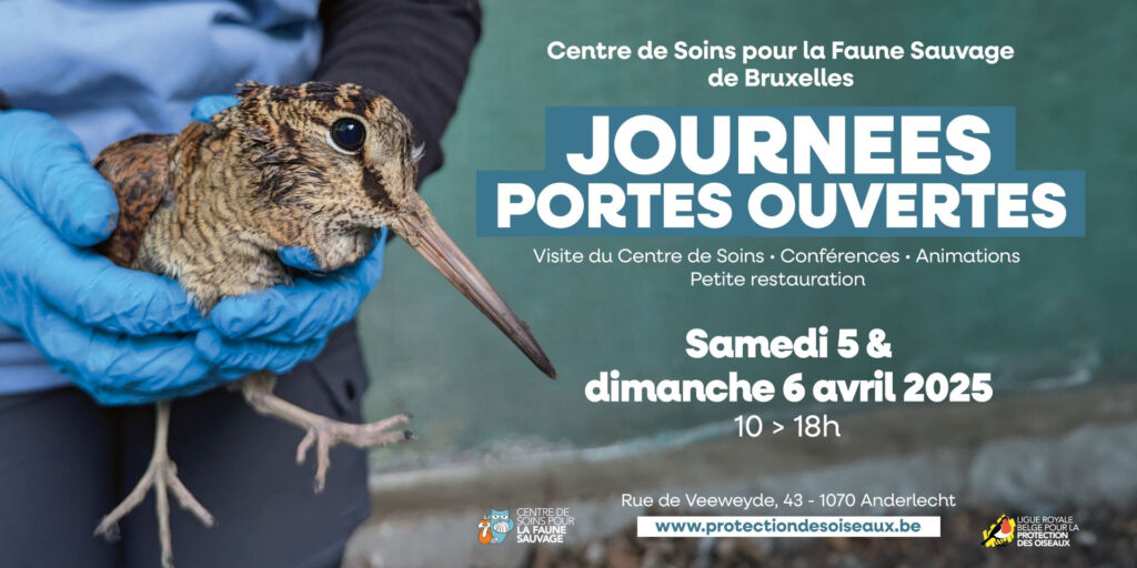 1 soins pour faunes sauvages