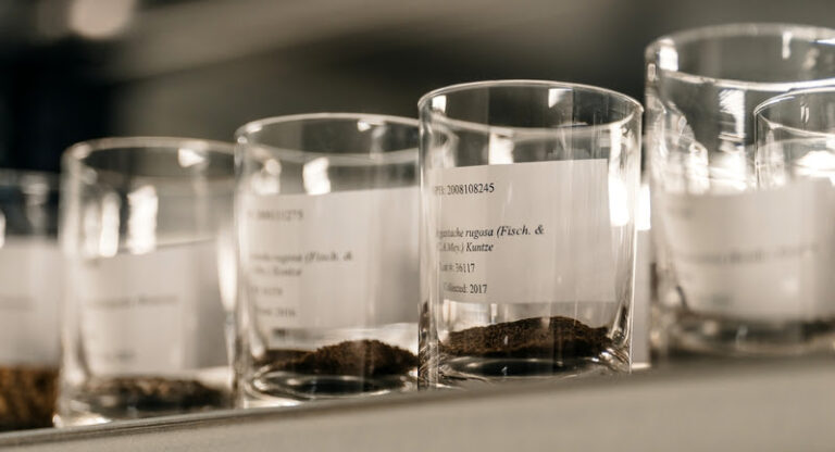 75% plantes menaçées préservée à Meise