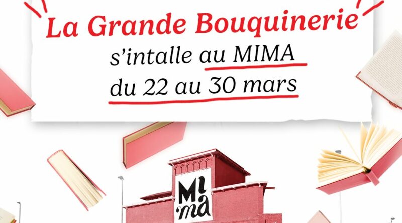 Grande vente de l'ivres d'occasion au Mima à Molenbeek